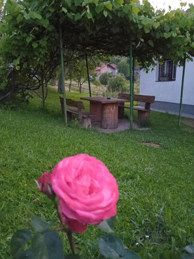 Zelena Oaza Appartement Visoko Buitenkant foto